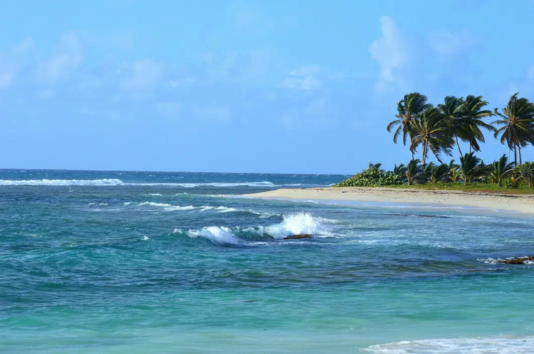 Tous les bons plans pour profiter de la Guadeloupe a moindre prix !