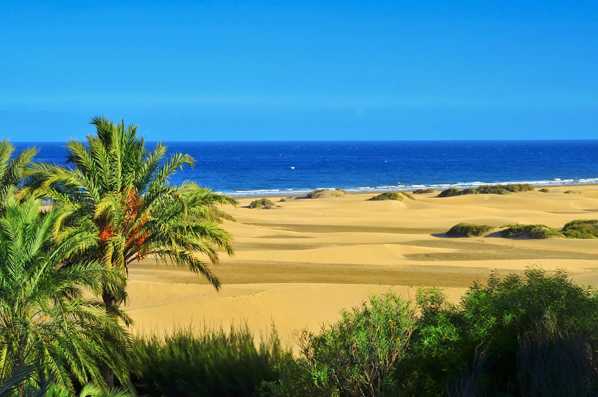 Où passer les vacances de décembre aux Canaries sans se geler ?
