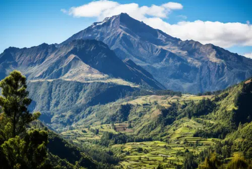 Quelle est la meilleur période pour aller à la réunion ?