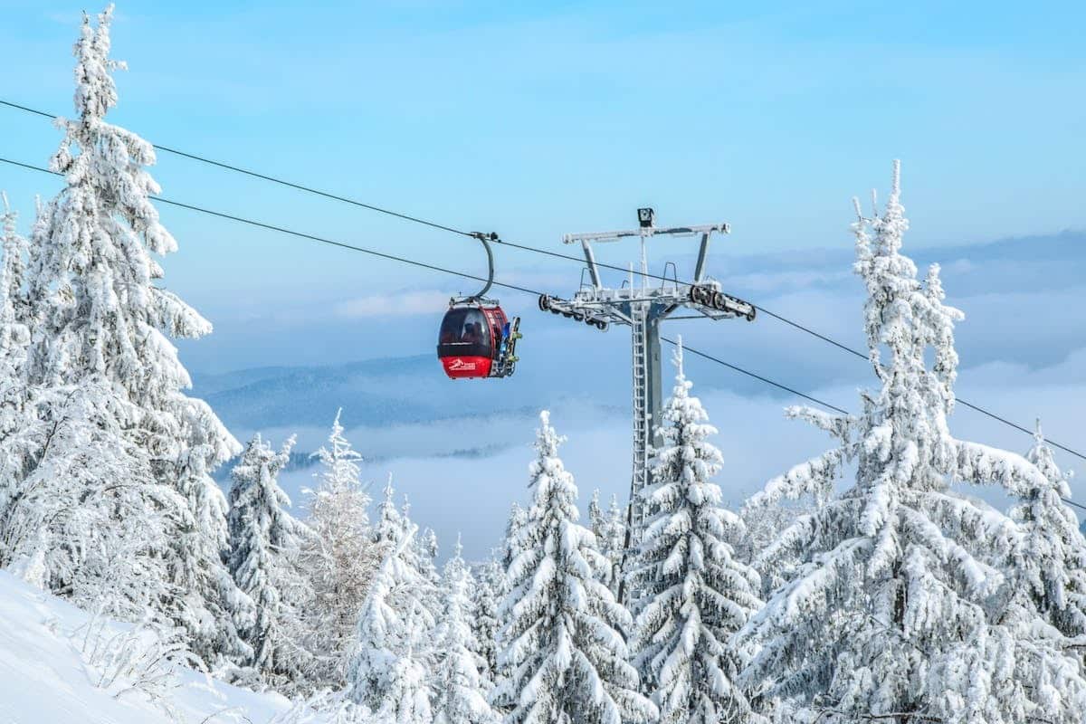 Découvrez les sports emblématiques des stations de ski réputées pour des vacances hivernales inoubliables !