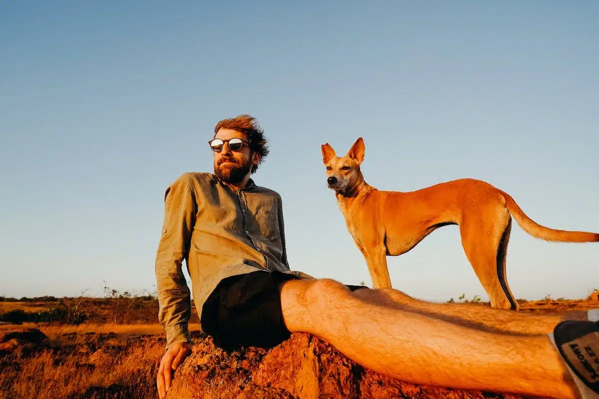 Tout ce qu’il faut savoir pour voyager sereinement avec son animal de compagnie