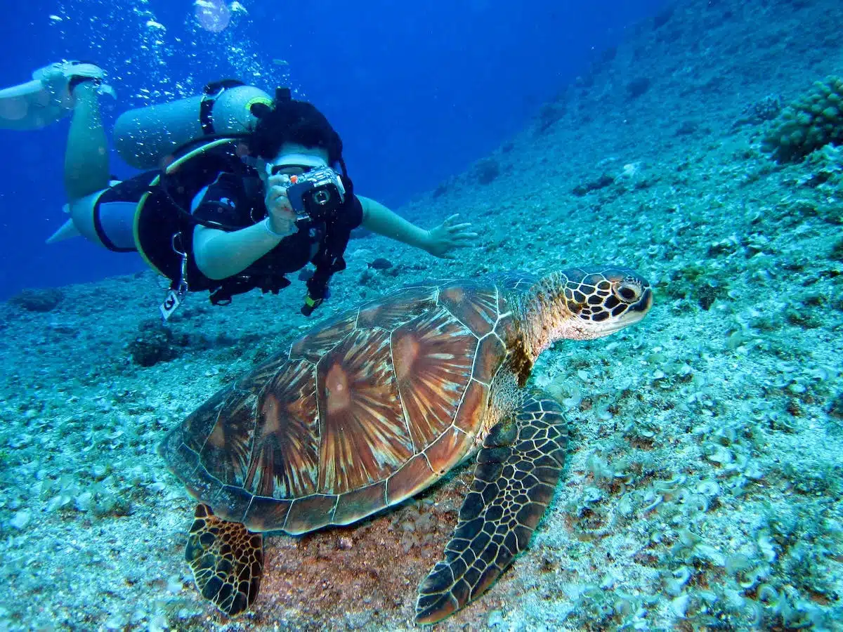 plongée sous-marine