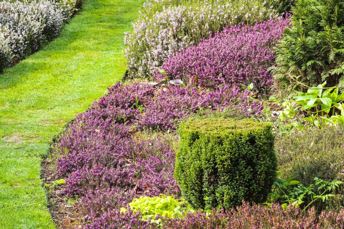 Les bordures naturelles les plus étonnantes du monde