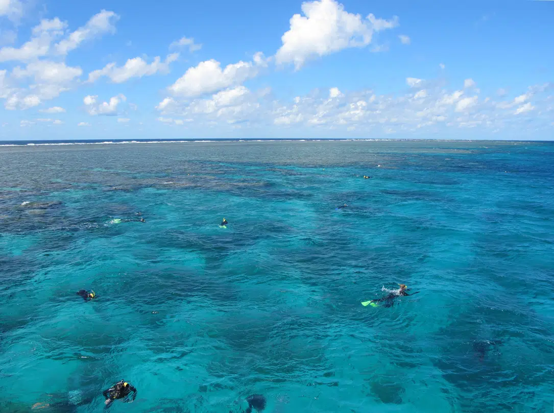 Quand aller à la barrière de corail ?