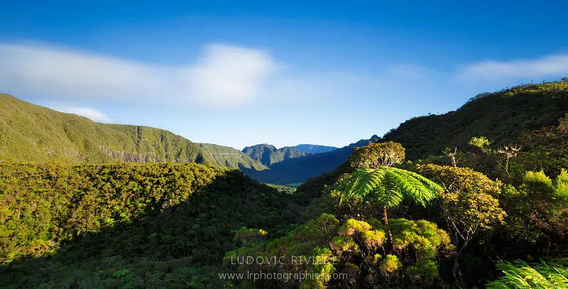 Quelle est la meilleur période pour aller à la réunion ?