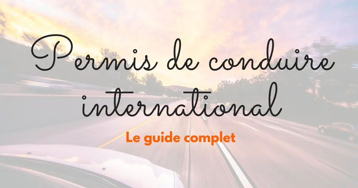 Comment obtenir un permis de conduire international en Algerie ?