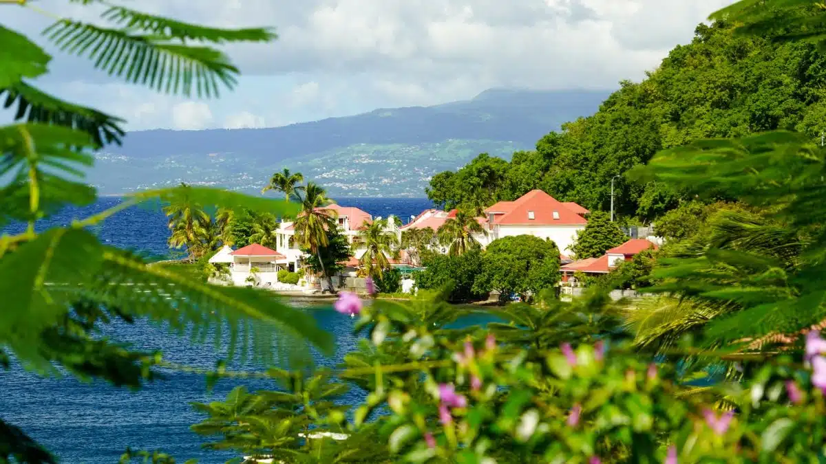 paysage de Guadeloupe