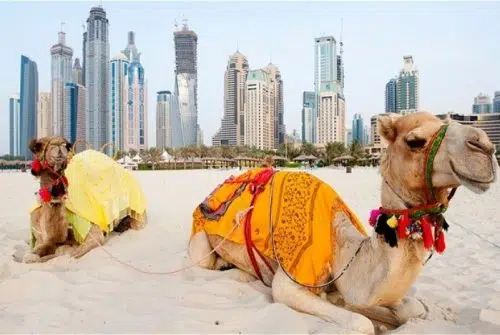 Visiter Dubaï : Que faire et quand partir ?