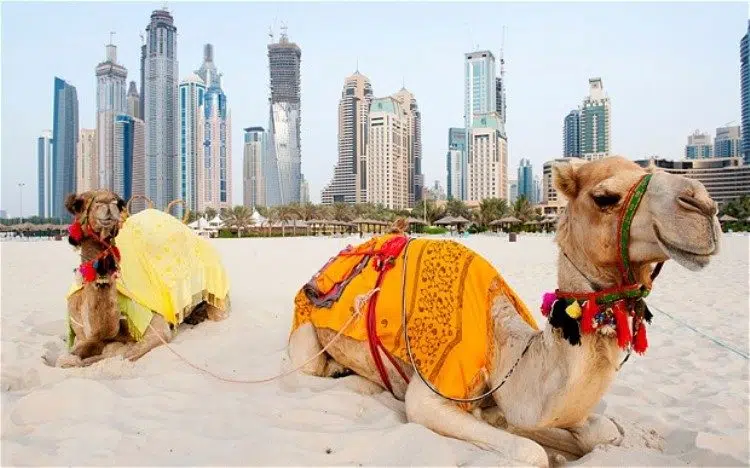 Visiter Dubaï : Que faire et quand partir ?