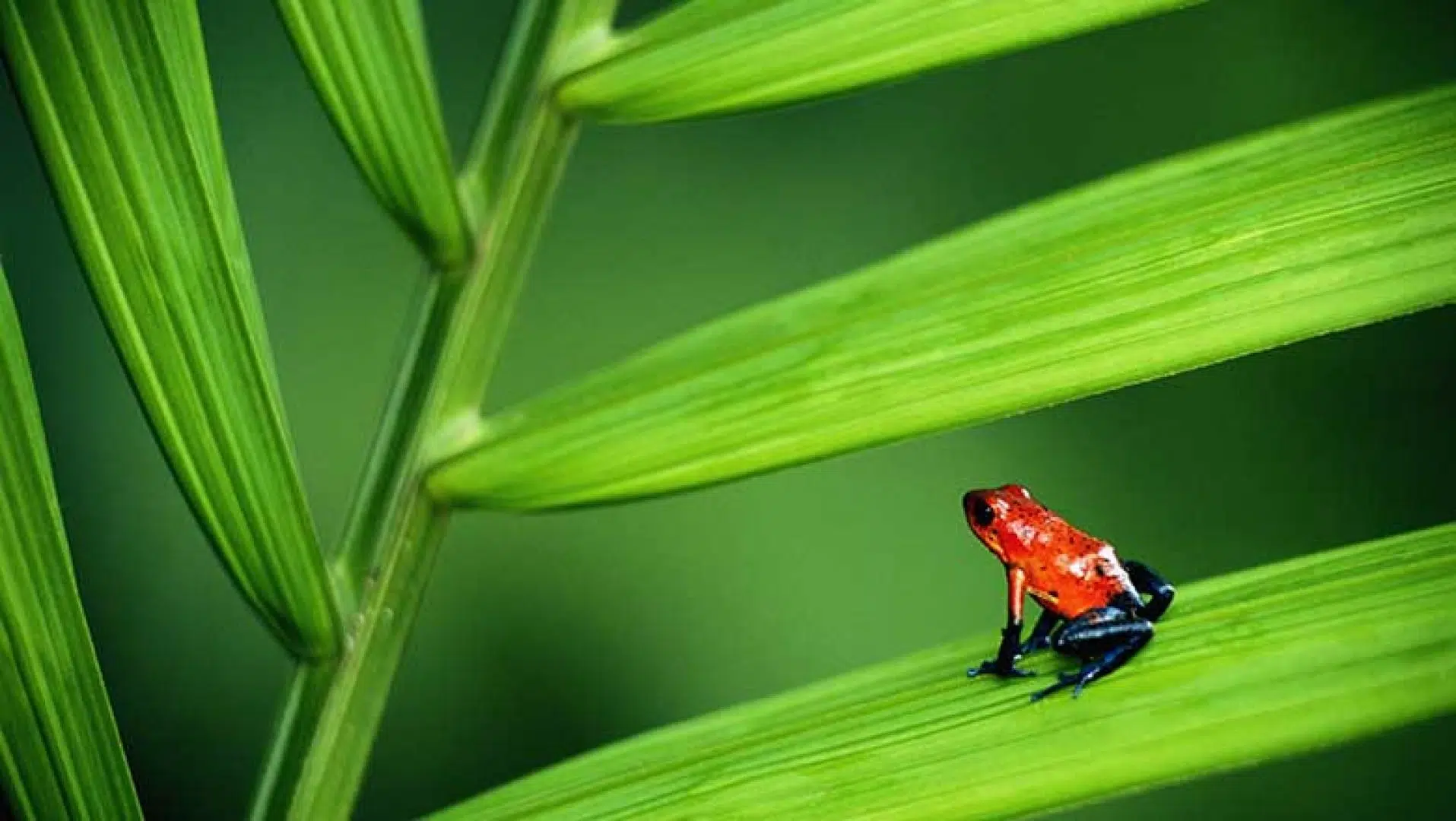 Pourquoi le Costa Rica s’appelle comme ça ?