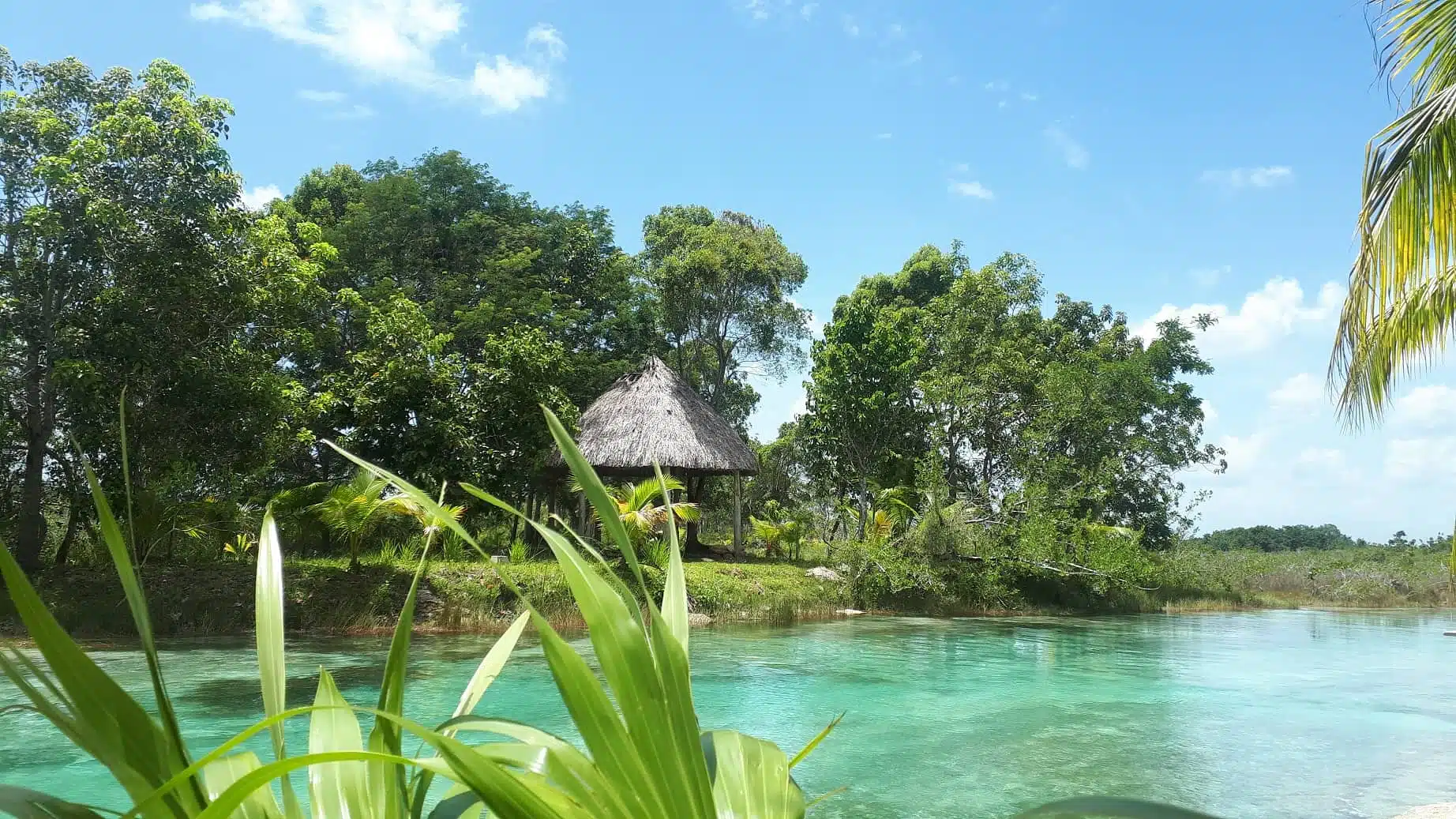 Bacalar