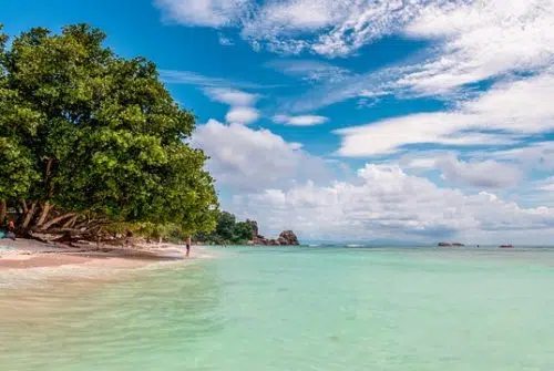 Quelle meilleure période pour aller aux Seychelles ?