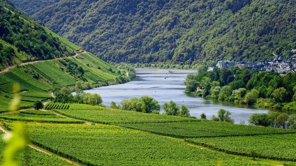 Quel vignoble louer pour un séminaire ou un événement d'entreprise ?