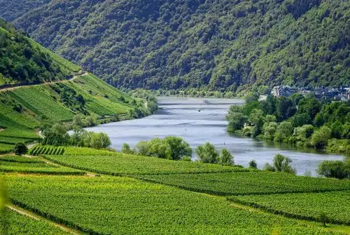 Quel vignoble louer pour un séminaire ou un événement d’entreprise ?