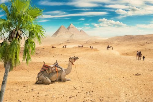 Quel est le meilleur mois pour aller en Égypte ?