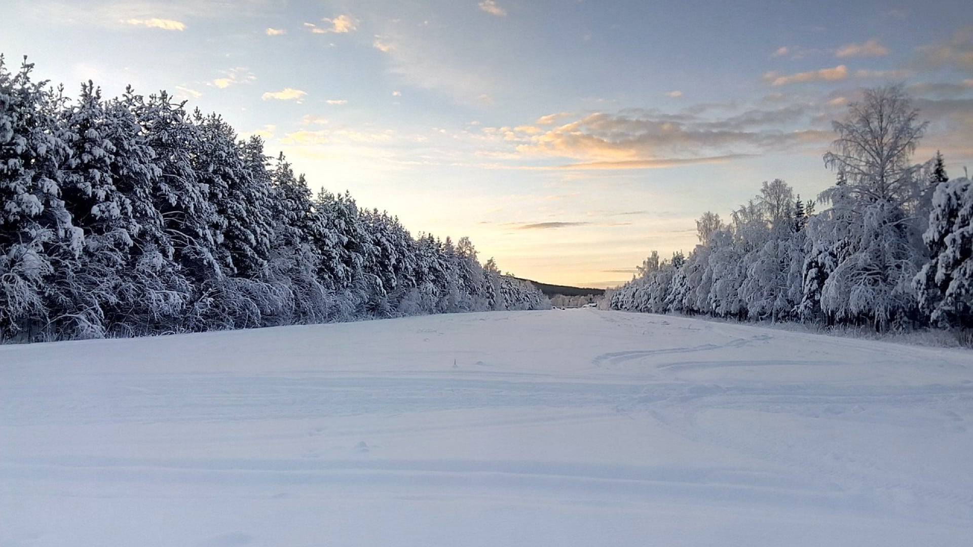 Quelle est la meilleure période pour partir en Laponie ?