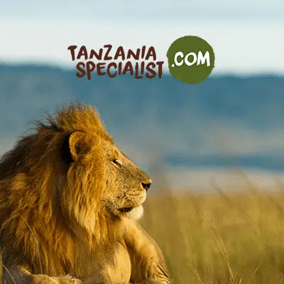 Est-ce dangereux d’aller en Tanzanie ?